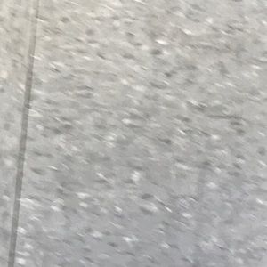 Meet your Posher, Maya